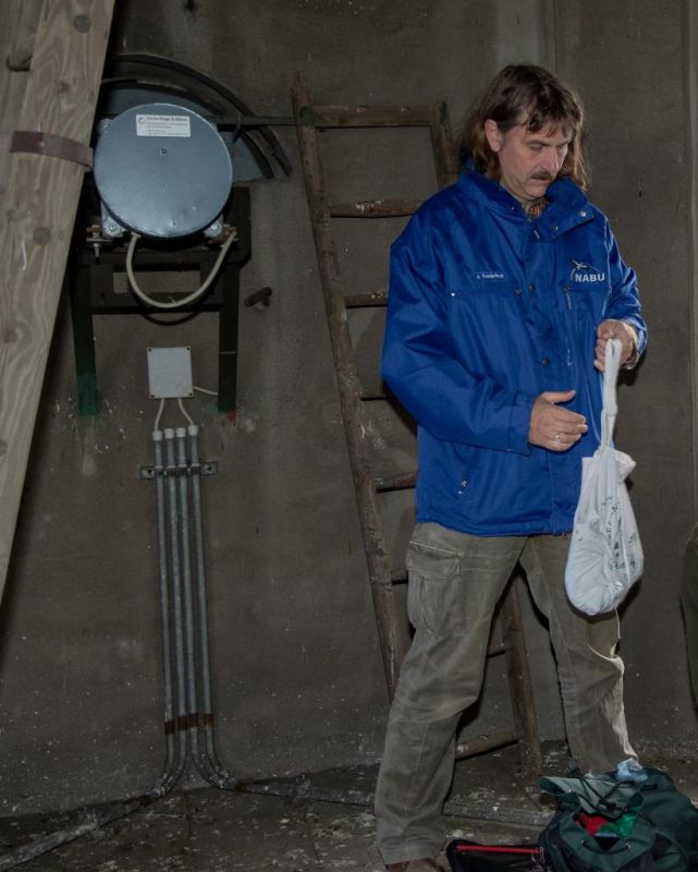 NABU-Vorsitzender Josef Tumbrinck auf einem Kirchturm beim Beringen von Wanderfalken mit Jägern 2015 (Quelle: DFO/DJV)
